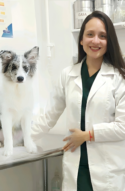 veterinaria clinica
