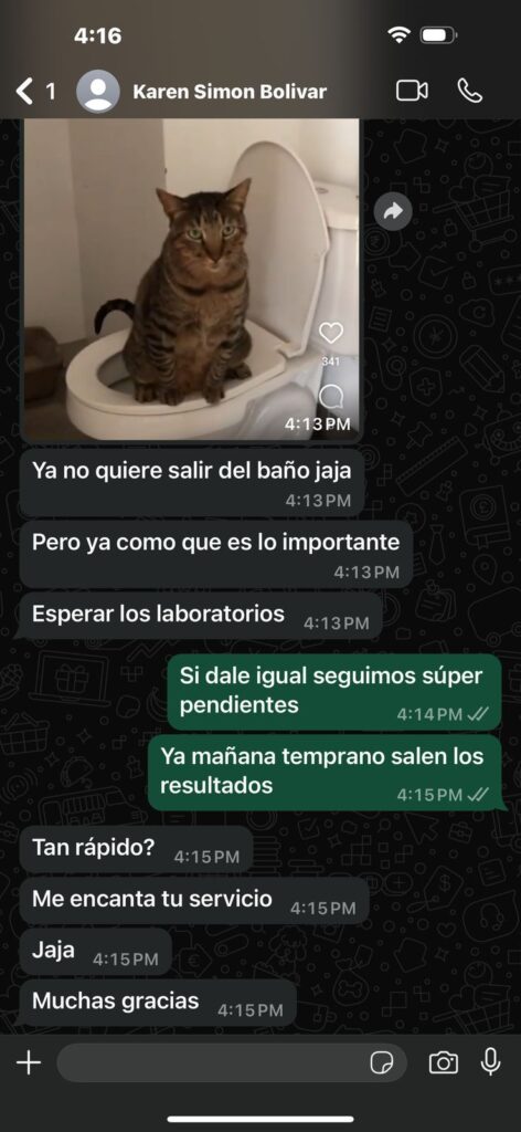 WhatsApp Image 2025-05-22 at 4.16.48 PM